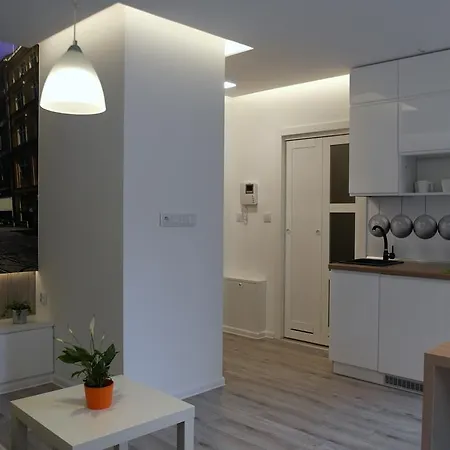Apartment Studio Golden House